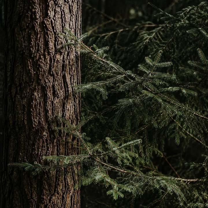 Headerbild_3_1420x1420.jpg