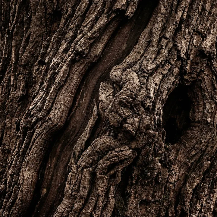 Headerbild_5_1420x1420.jpg